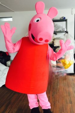 Pink Pig photo