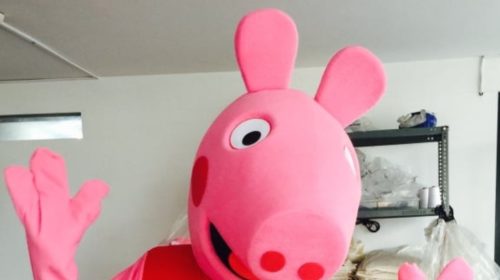Pink Pig photo