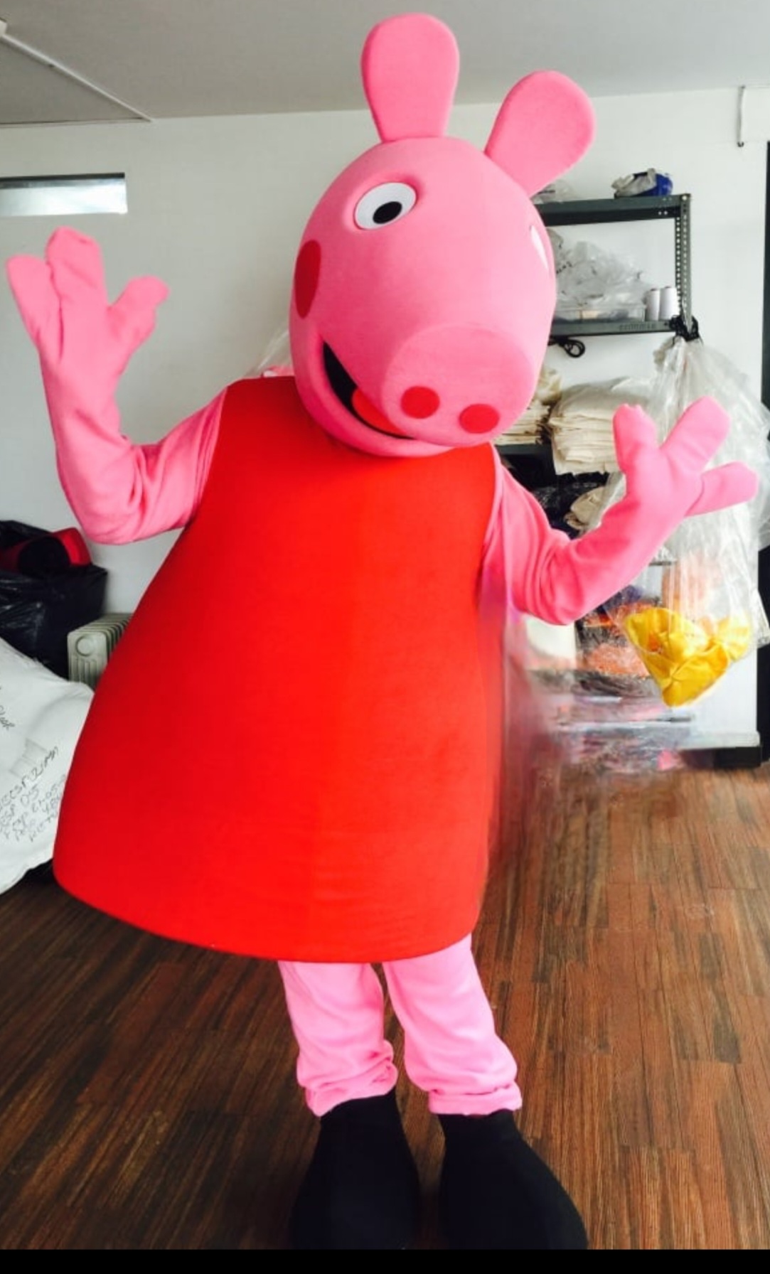 Pink Pig photo